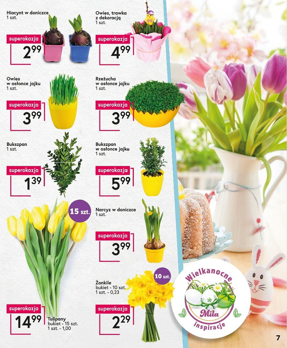 Gazetka promocyjna Mila str. 7